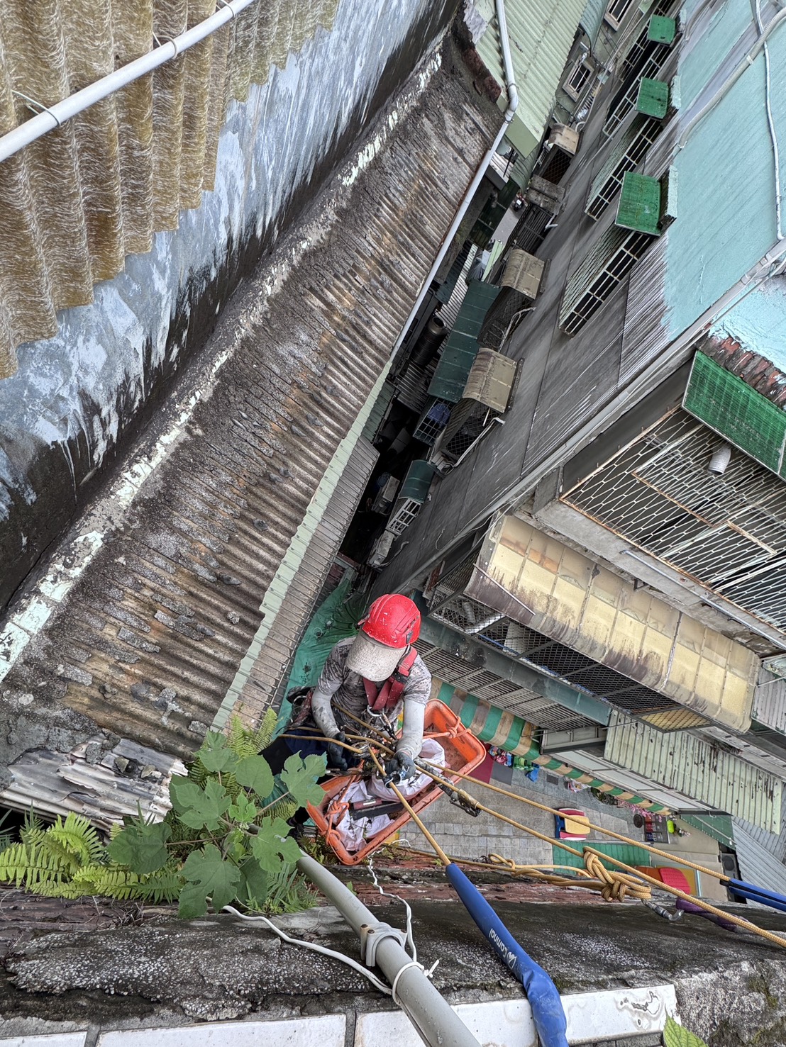 外牆修繕｜老宅外牆長草，其實不是美觀問題，而是「結構警訊」-3